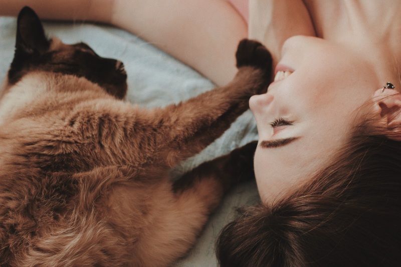 Чому коти сплять на людях? На це є свої причини