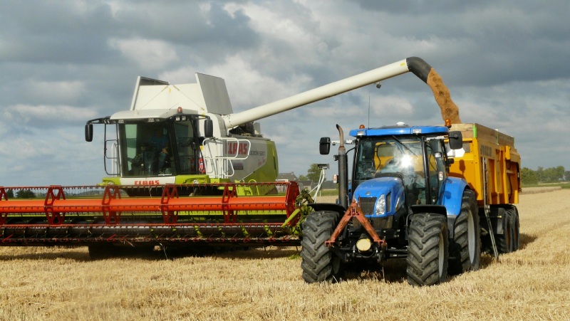 Повышение производительности в работе с зерновыми культурами: рекомендации и нюансы