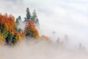 Що означає туман уві сні за різними сонниками